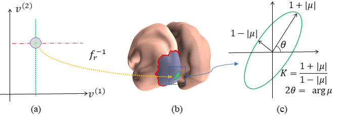 Image of Topology-Preserving Smoothing of Retinotopic Maps