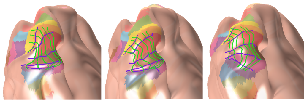 Image of Topology-Preserving Smoothing of Retinotopic Maps