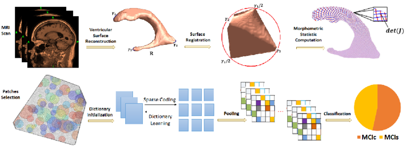 Image of Hyperbolic Space Sparse Coding with Its Application on Prediction of Alzheimer's Disease in Mild Cognitive Impairment