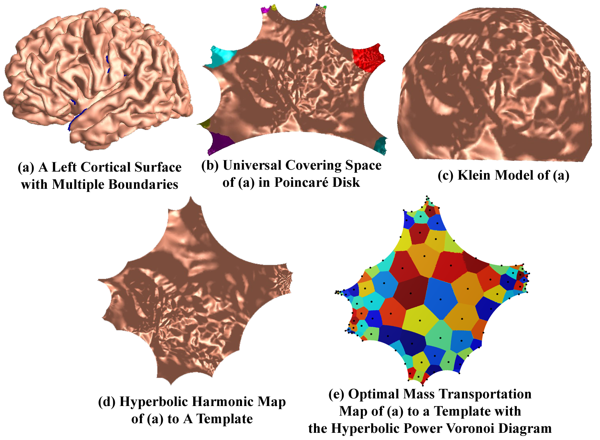 Image of Shape Analysis With Hyperbolic Wasserstein Distance
