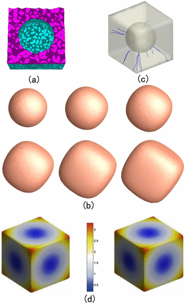 Image of A Novel Cortical Thickness Estimation Method based on Volumetric Laplace-Beltrami Operator and Heat Kernel