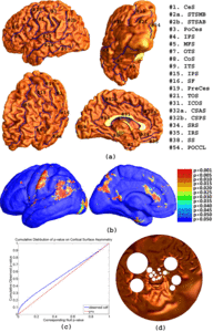 Image of Brain Surface Conformal parameterization with the Ricci Flow
