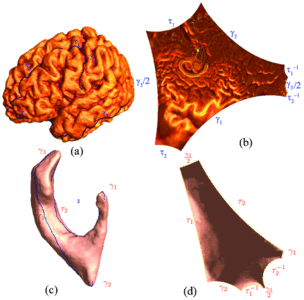 Image of Shape Analysis with Teichmüller Shape Space

