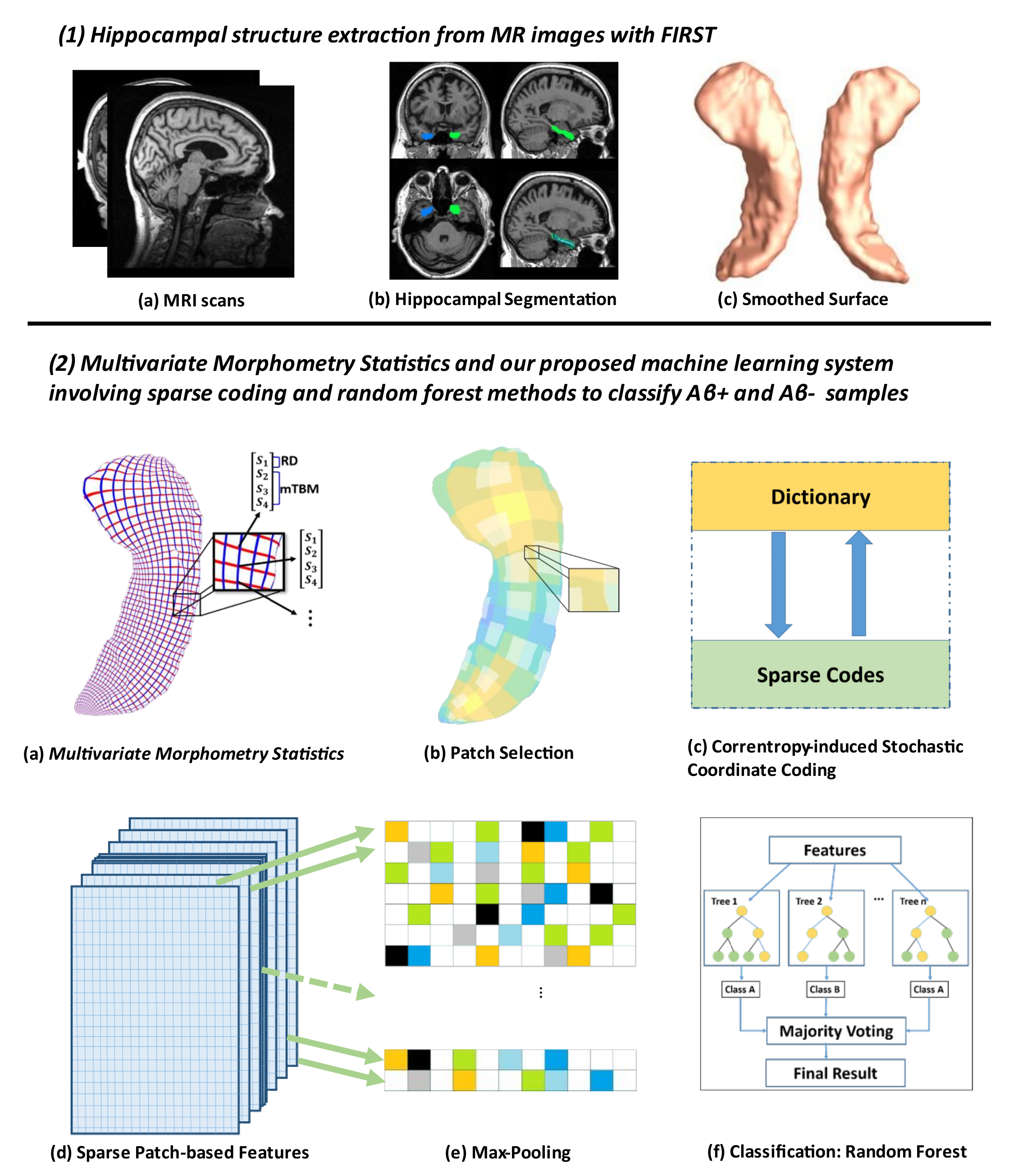 Predicting Brain Amyloid using Multivariate Morphometry Statistics, Sparse Coding, and Correntropy: Validation in 1,101 Individuals from the ADNI and OASIS Databases