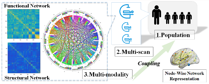 Image of MICCAI, In the paper, we propose a general coupling framework, the multimodal neuroimaging network fusion with longitudinal couplings (MMLC), to learn the latent representations of brain networks. The new approach integrates information from longitudinal, multimodal neuroimaging data and boosts statistical power to predict psychometric evaluation measures.