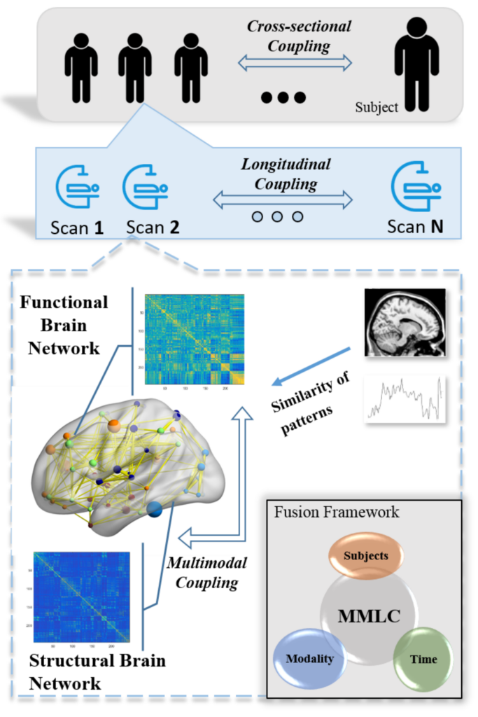 Image of Multimodal-Longitudinal-Brain-Network-Coupling 

