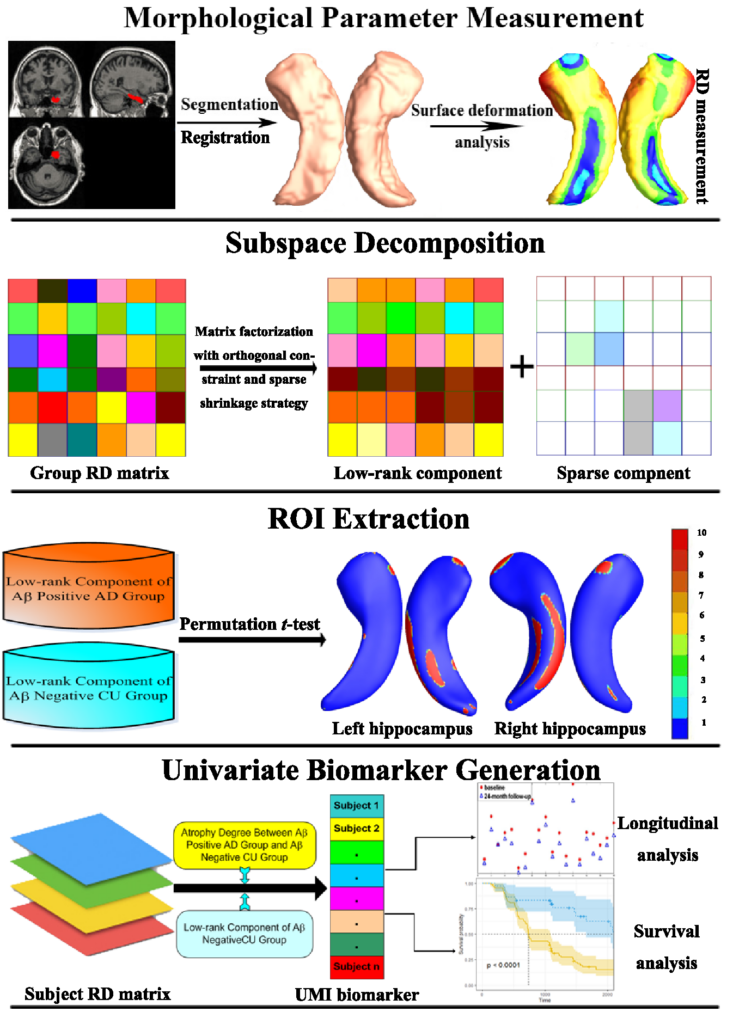 Image of Developing Univariate Neurodegeneration Biomarkers with Low-Rank and Sparse Subspace Decomposition

