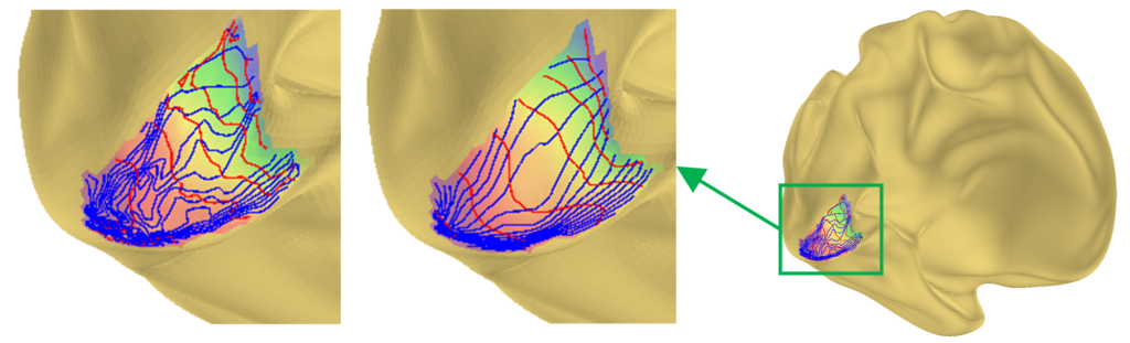 Topology-Preserving Smoothing of Retinotopic Maps,